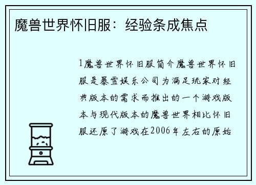 魔兽世界怀旧服：经验条成焦点